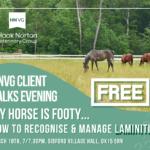 Laminitis & Cushing