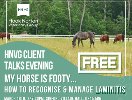 Laminitis & Cushing
