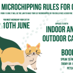 Cat Microchipping