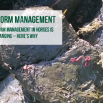Worm Management