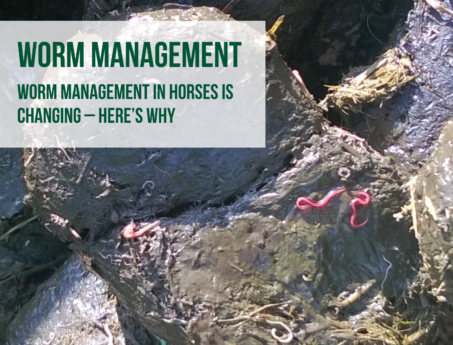 Worm Management
