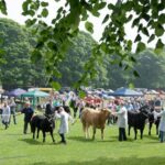 Agricultural shows