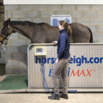 Hook Norton Veterinary Group team or practice image