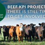 beef kpi project