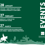 Winter equine events series Facebook promotional graphic for Hook Norton Vets equine team
