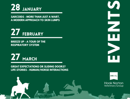 Winter equine events series Facebook promotional graphic for Hook Norton Vets equine team