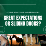 Event banner for equine behaviour talk at Hook Norton Vets