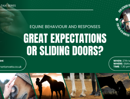 Event banner for equine behaviour talk at Hook Norton Vets