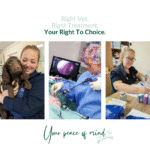 CMA Veterinary Investigation