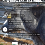 Infographic titled How Does The Test Work, outlining the steps of the comparative tuberculin skin test